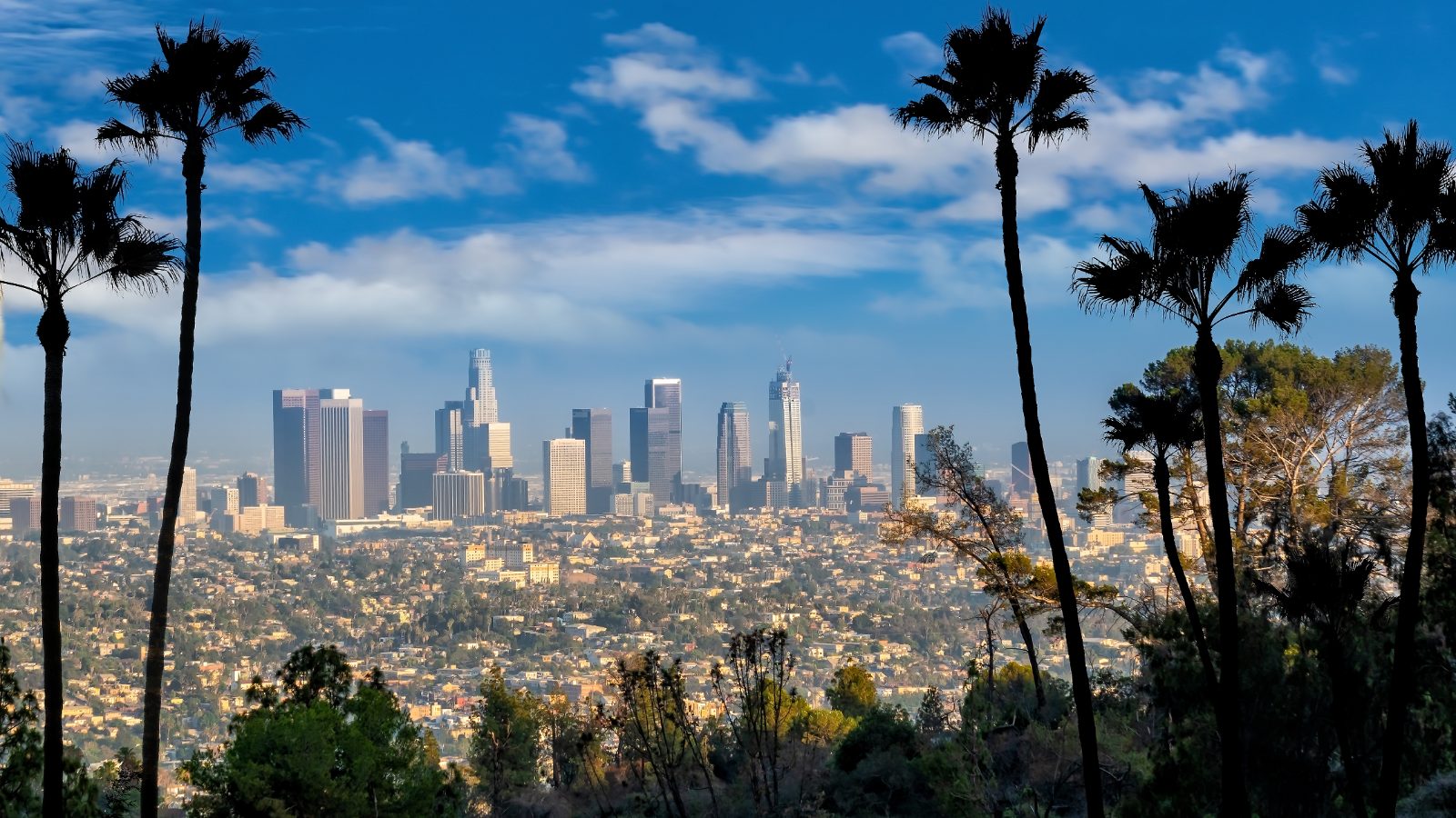 Software Development and IT Consulting for Los Angeles - PS3G
