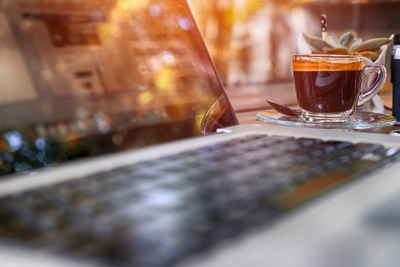 WordPress Development Services - PS3G
